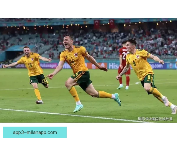 威尔士足球超级联赛直播精彩对决全程解析与观赛指南最新赛况深度前瞻 威尔士足球超级联赛直播精彩对决全程解析与观赛指南最新赛况深度前瞻